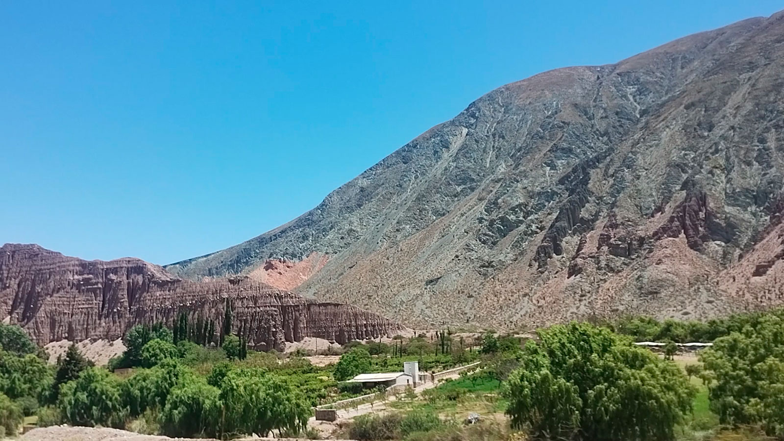 Logística y Depósitos